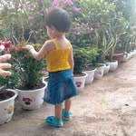 Sen Trinh - @sen.trinh.9619 - Instagram
