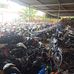 Le Trong - Facebook