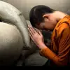 Phượng Hoàng Lửa - @hoasentrongbienlua - TikTok