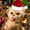trọng.thiên ff - @trong.thien.la.sen - TikTok