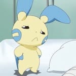せにゃ - @senyan_160 - Instagram