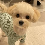 @senyang2_ - Instagram