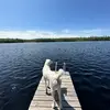 Sen Ye - @sen.ye3 - TikTok