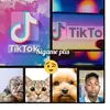 Wilson Sena - @wilson.sena0 - TikTok