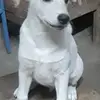 Sendy Gonzalez - @sendy.gonzalez71 - TikTok
