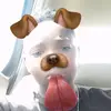 armanisenecabrown - @brownsquad24 - TikTok