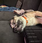 Seneca Brown - Facebook