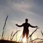 Seneca - @seneca_leek6at - Instagram