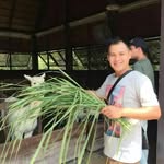 Seng Foo - @sengfoo1987 - Instagram