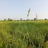 Seng Ty - @seng.ty7 - TikTok