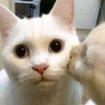 Seong Ahn - Facebook
