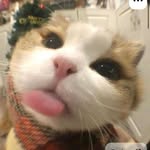 Emalee Pak - @seong.pak3 - Instagram