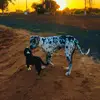 Bailey_Serena - @bailey_serena0 - TikTok