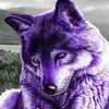 serenabender0 - @serenabender0 - TikTok