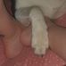Serena Biggi - Facebook
