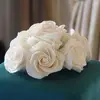 serenabooth955 - @serenabooth955 - TikTok