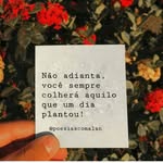Serena Taveira  Camacho - @serena_c_etaveira - Instagram