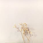 Serena Chao - @serena_e97 - Instagram