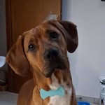 Serena Corsoni - @serenacorsoni - Instagram
