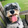 ‘you’re following too fast’ - @serena.darling - TikTok