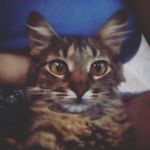 susi - @susi_serena_diamond - Instagram