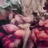 Serena - @serena_drake - TikTok