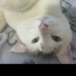 Fabio Serena Faustini Calicchia - @fabioserena_faustini - Instagram