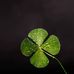 Serena Ford - Facebook