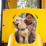Serena Guo - @serenaaaguo - Instagram