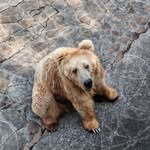 serena.guo - @serena.guo3 - Instagram