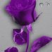 Serena Jacobs - Facebook