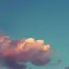 Serena Low - @serenalow8819 - TikTok