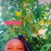 Serena Makena - Facebook