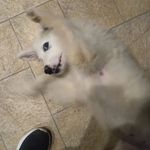 Serena - @serenamossini000 - Instagram
