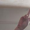 Serena Newman - @serena.newman - TikTok