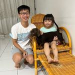 Serena Phan - @serena_phan - Instagram