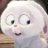 serenaphan - @chocolates308 - TikTok