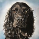 Pet portraits and wildlife art by Serena - @serenaphillips868 - Instagram