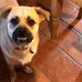 Serena Robb - Facebook