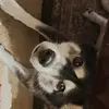 serenarocha18 - @0reo224 - TikTok