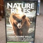 Serena Sullivan - @polarbearbaberunner - Instagram