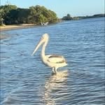 Serena Sullivan - @serena520516 - Instagram