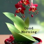 Zareena Sultana - Facebook