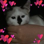 Serena Vang - Facebook