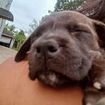 Serena Vang - Facebook