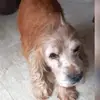 serena wills - @serena.wills7 - TikTok