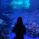 Serena Xu - @xx__serenity - Instagram