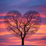 Serene Chua - @twinchua - Instagram