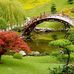 Serene Ho - Facebook