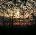Serene Ho - Facebook